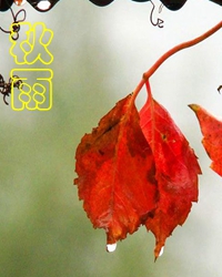 《秋风吹进文字里》的作者蔡科是【大众原创诗词曲网刊】签约作家