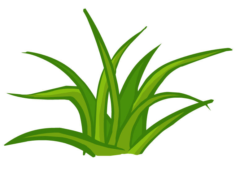 十二生肖2019年寒露节后的运气