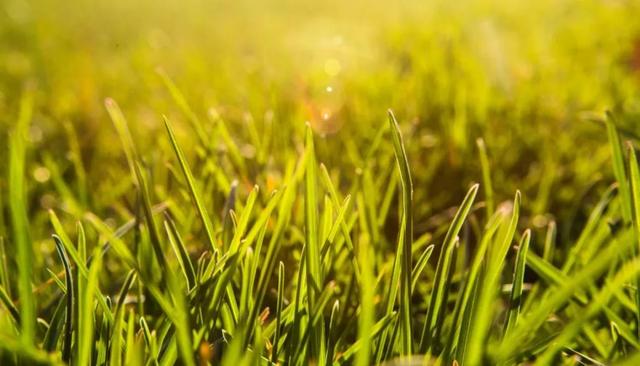 中建滨河苑,我喜欢郑州这样的阳光