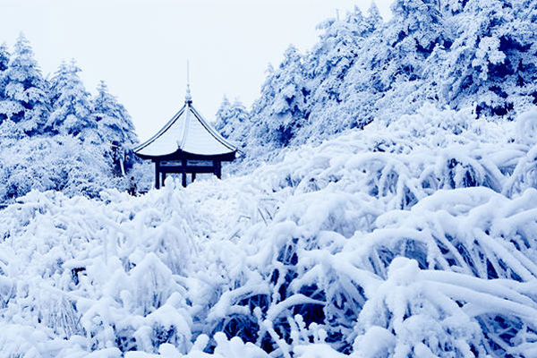 《雪花赋》的作家隆光诚是【大众原创诗词曲网】签约作家