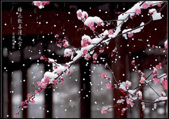 20b49fb6a4694ccebe17b5b63eeb3ccc.gif