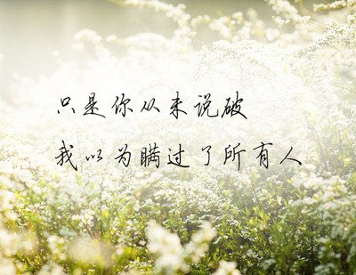 t0166a9b76355d83f94.jpg