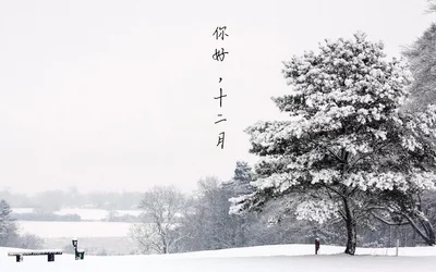 t014b4b43f7188342ff.webp.jpg