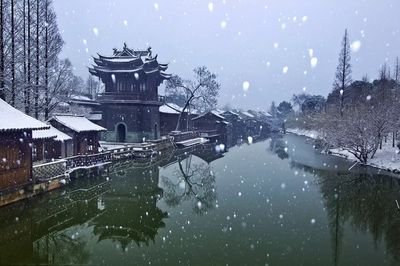 【热文头条】王子扬评词：一派热天景象，全然发聩诗情