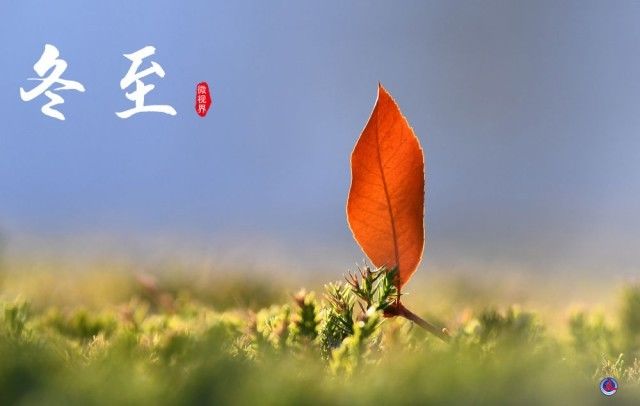《冬至》的作家谢依梦是【大众原创诗词曲网】签约作家