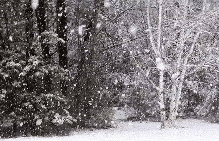 2022_1023_5c8a2859g00rk6vi000jkc000c3007tg.gif