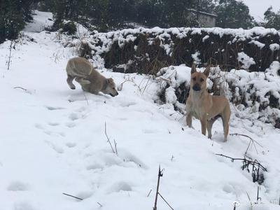 032f603119da2a74a589f5f60e564ade.jpeg 23749