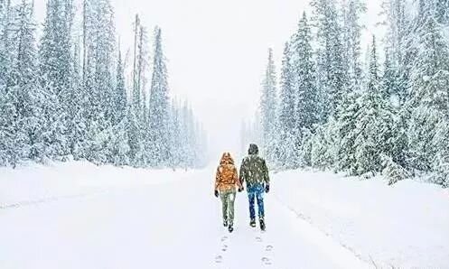 词曲出售:《下雪了你还会告诉我吗》有意者请联系