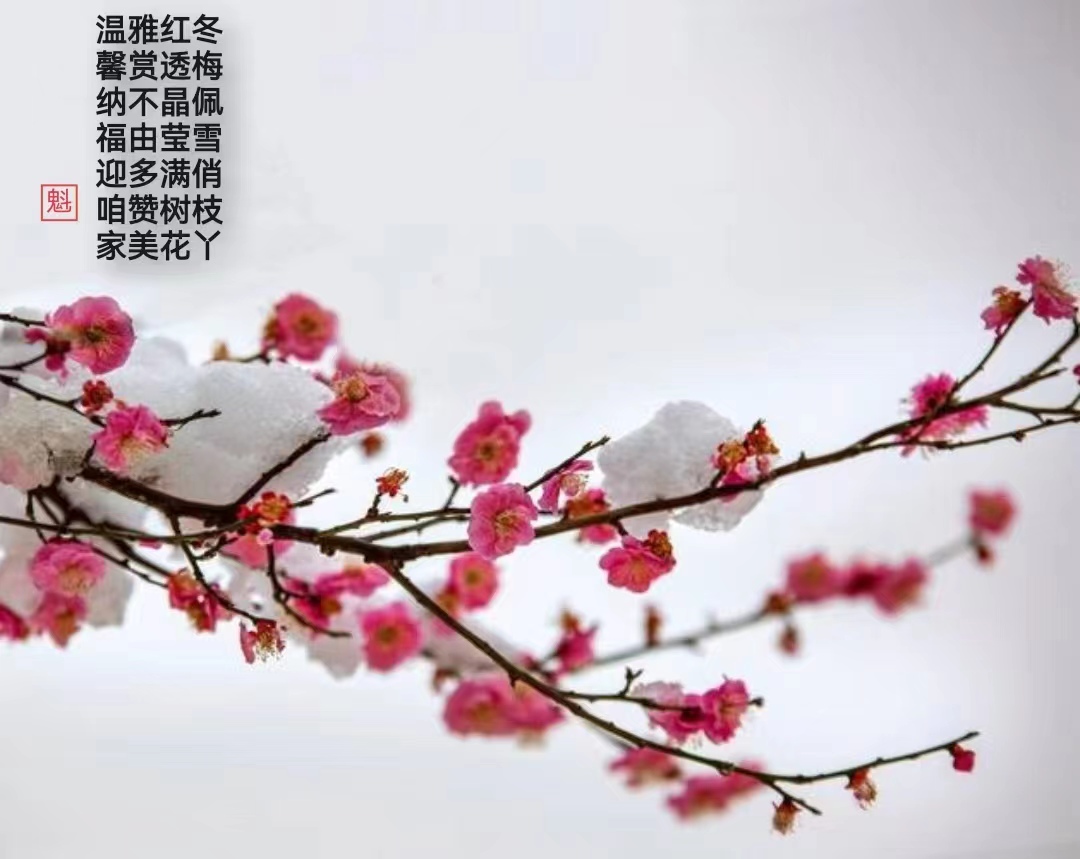 微信图片_20221229155648.jpg