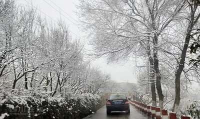词曲出售：《你那里还会不会下起雪》有意者请联系