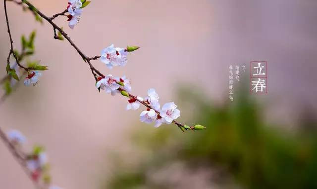 middle_640x383-192717_v2_18551454498837343_c90dcb22032d7c1c45ce7b1f2c930c1b.jpg