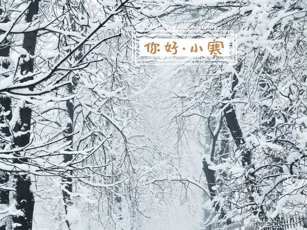 【热文头条】：当代著名散文家、爱国诗人费立强先生的佳作