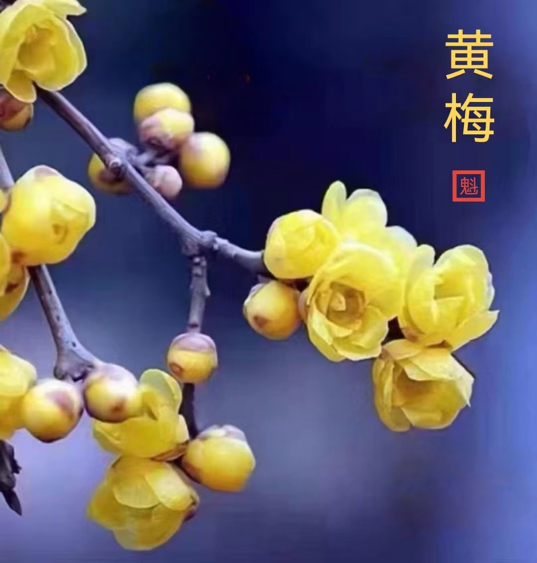 微信图片_20230106161503.jpg