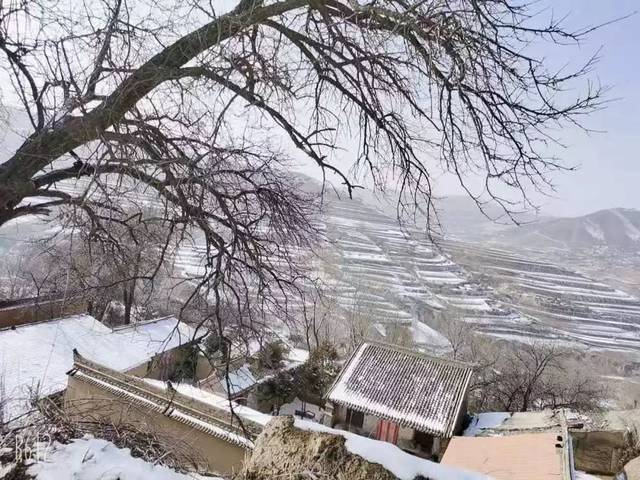 fe83386597ee4f089f3eaad594617a79.jpeg