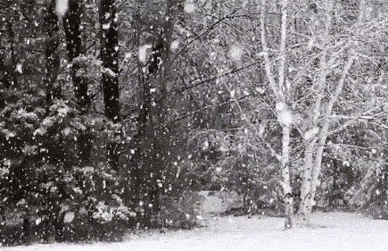 968adb01faa34810bba7e5648a17c097.gif