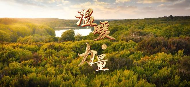 下载.jpg