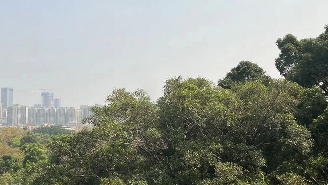 下载.jpg