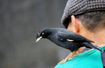 u=1654565413,60327886&fm=173&app=25&f=JPEG.jpg