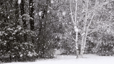 f2193ebc859247358a4356a8f7161ad0.gif
