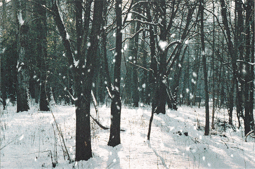 9f4abb1ebf0e4f8eb393742308785f6d.gif