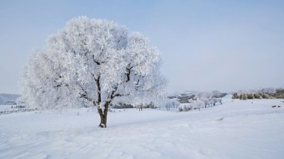 t01c663ffeedb740958.jpg