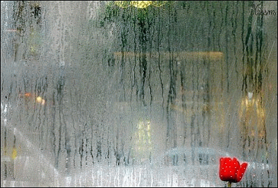 167925360.gif