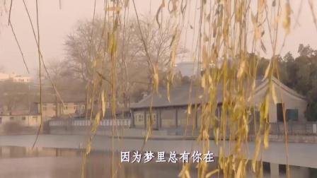 【词曲出售】《因为有你在梦里》有意者请联系
