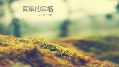 t016f14fa8042ec6065.jpg