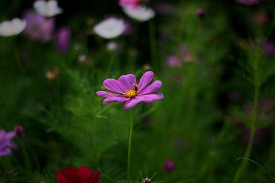 t0179f7c65485f831d6.jpg