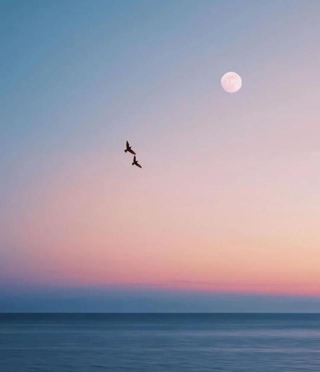 38dbb6fd5266d016ead22f654247750134fa3523.jpeg