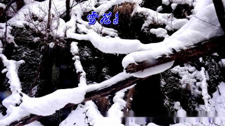 《梦随雪花飘》的作家张洪军是【大众原创诗词曲网】签约作家