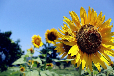 t018d5cdc2b2f297a42.png