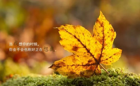 《晨起心语》的作家秦学文是【大众原创诗词曲网】签约作家