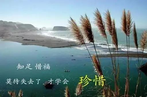 d376e6a992b14656917ff95fd3c8f848.jpeg
