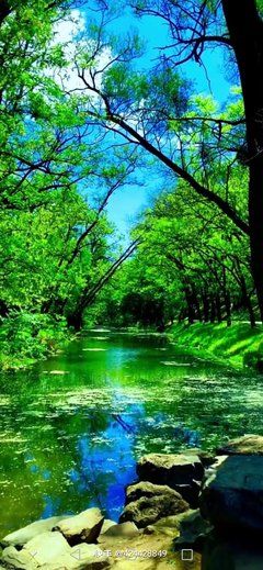 0c437bab96ca52ae9b006efd971e59bb_t01afc1cbcaffe7f85d.jpg