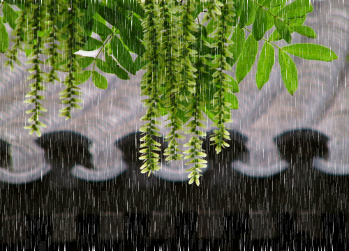 5086e928f1967f57bd98061640dd536f_65160e7fd99a446c94ff89b482cd9362.gif