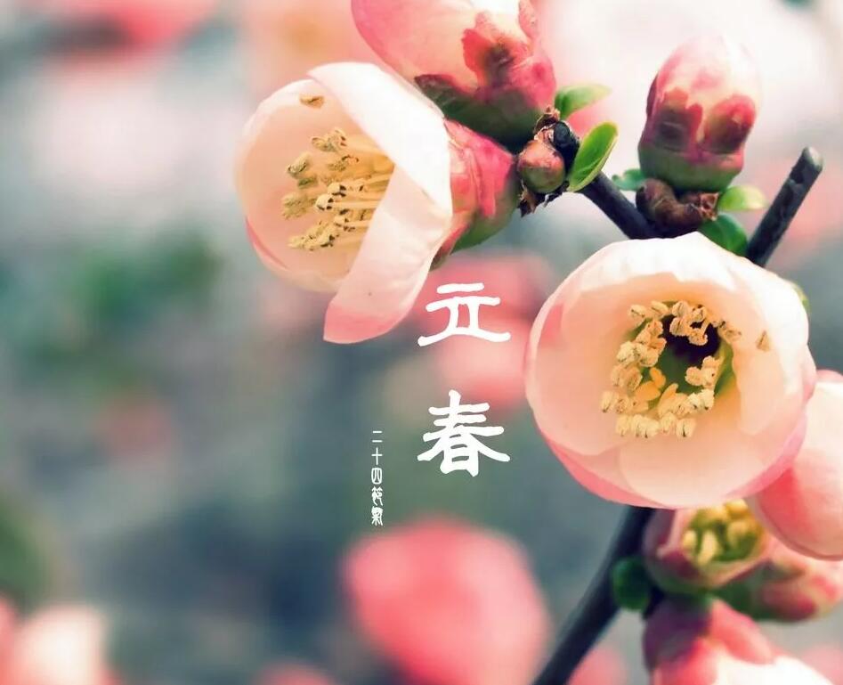 《立春》的作家马相清是【大众原创诗词曲网】签约作家