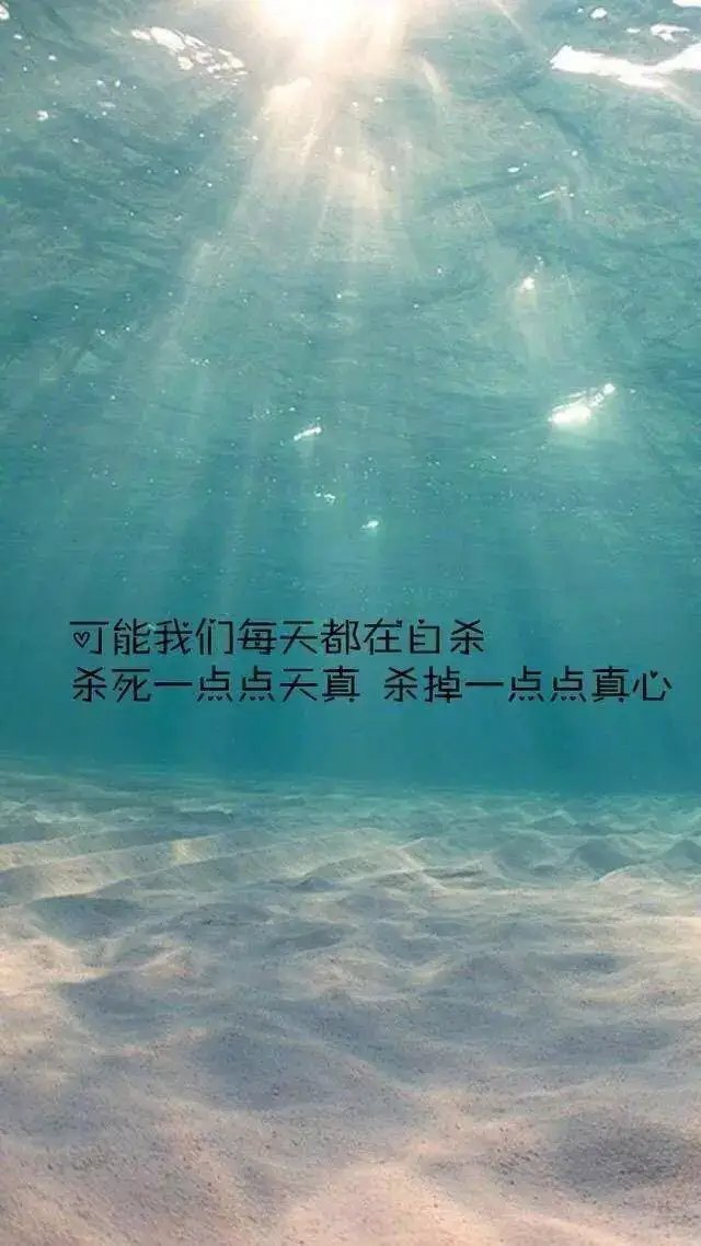 3638cd95c0d280dde3516c7e6dfbf82d_6ebe-iewtena1007671.jpg