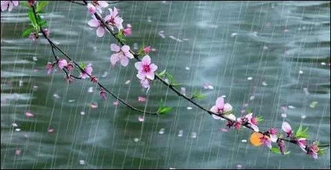 《春雨》的作家马祖印是【大众原创诗词曲网】签约作家