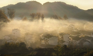097a930a8b91f4b71c815e0f16f14bb8_7-1P2011H2070-L.png