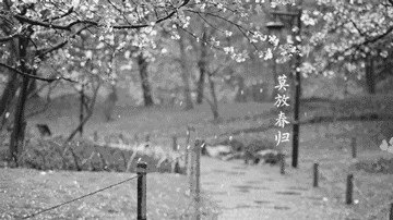 《这个春天》的作家侯晓峰是【大众原创诗词曲网】签约作家