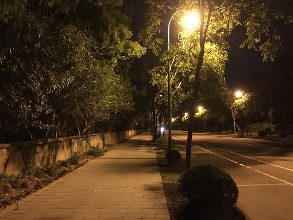 p36948384.jpg