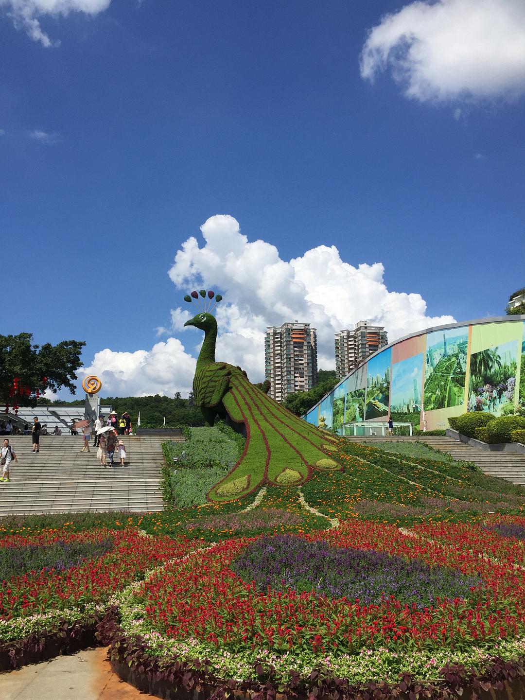 p45876761.jpg