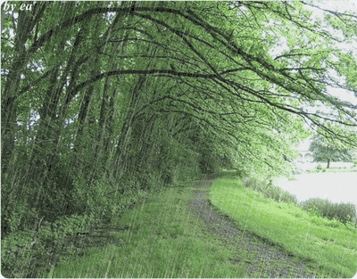 3b8de531dd934e5a80e4315fd9f92d84.gif