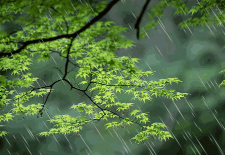 《春雨》的作家张子和是【大众原创诗词曲网】签约作家