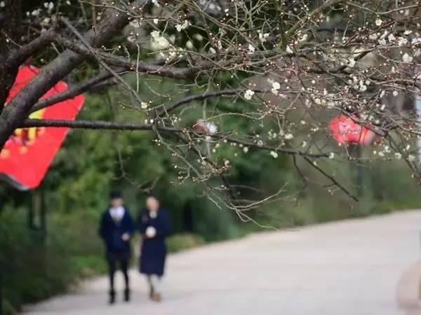 我们遇上了 假冬天 别急着脱,冷空气杀回马枪了 本周末更低或降到1 甚至以下 