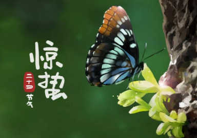 《惊蛰》的作家冰山一角是【大众原创诗词曲网】签约作家