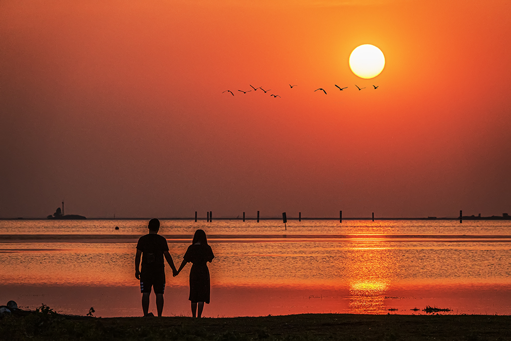 b93a13a23caa1b387f76f53840deb750_192848thhv156hq16sh601.jpg