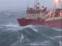 9d0e873302d13103f64615008876c77e_b1df446600a247eabd0cc5f24bfc64ff.gif