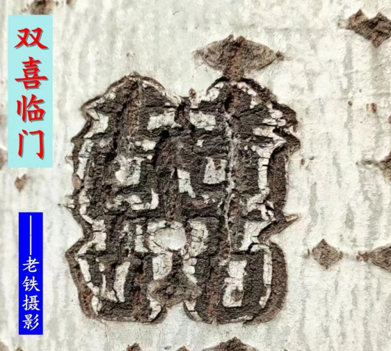 d570d7b9626e9846af5d9c862c94de2.png